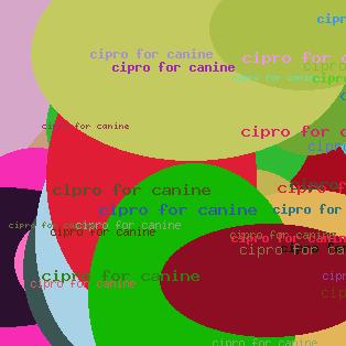 cipro for canine